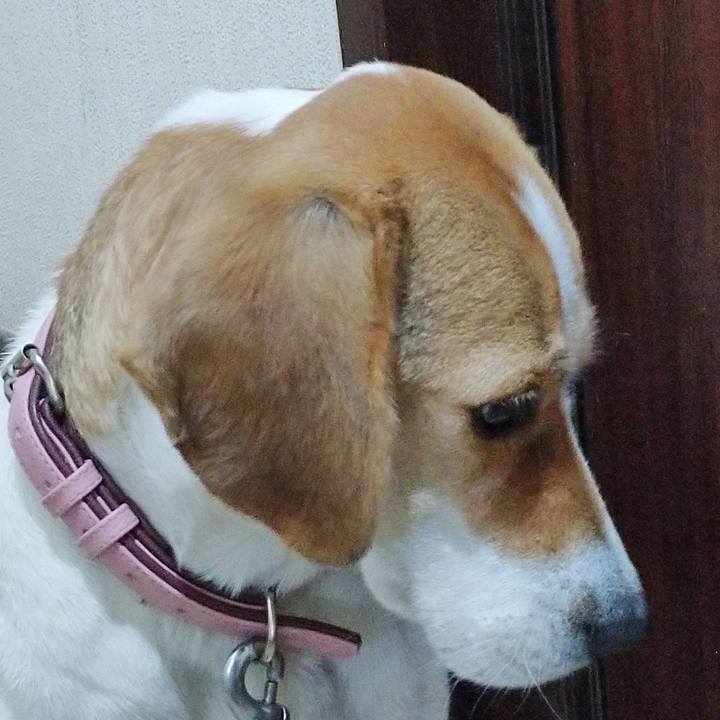 94b5d8ab 8c5a 4ca3 a51c ace378a3d0f9 1579244368258