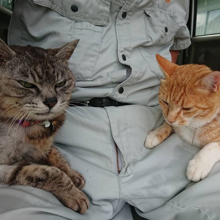 94b5e080 36c4 41b0 86f9 6db349c237c5 1593593906626