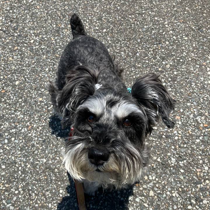 94b5e93b f0b7 462e a021 0335b1910fc3 1717219699855