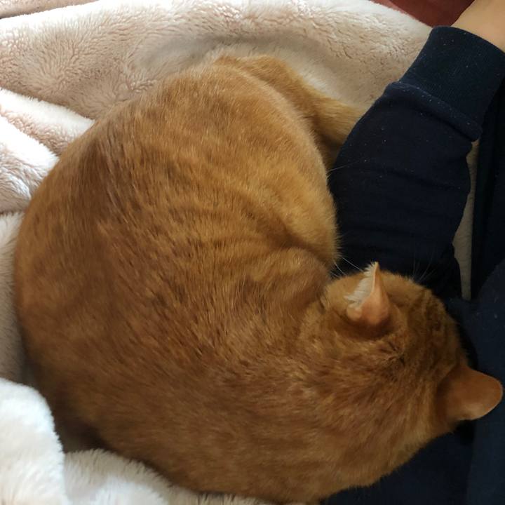 94b5f985 61d4 4be8 a2fb fbbe557628fb 1714947265763