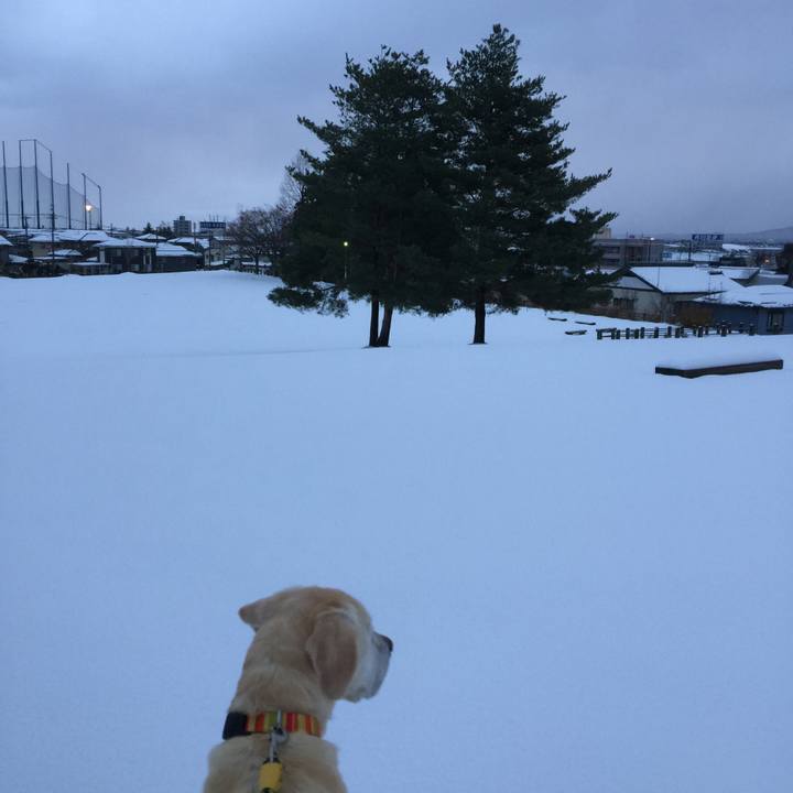 94b61483 a31c 4c40 8070 c4917fd60fa0 1513150166477