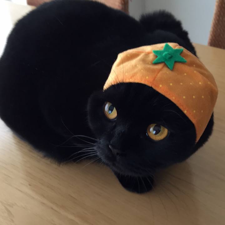 94b65298 69a8 4d80 b140 57dec9ebbca7 1515385030875