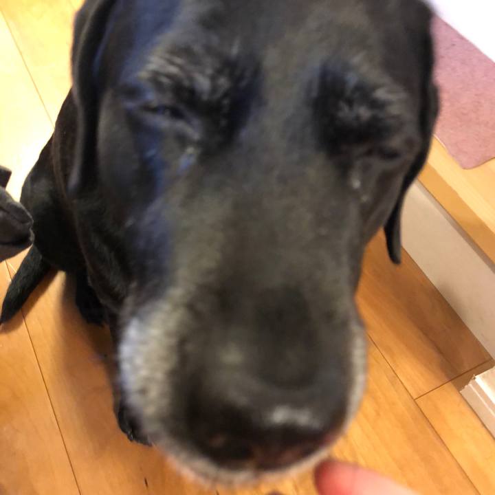 94b66e35 249f 4229 a003 9a3276293094 1547997390239