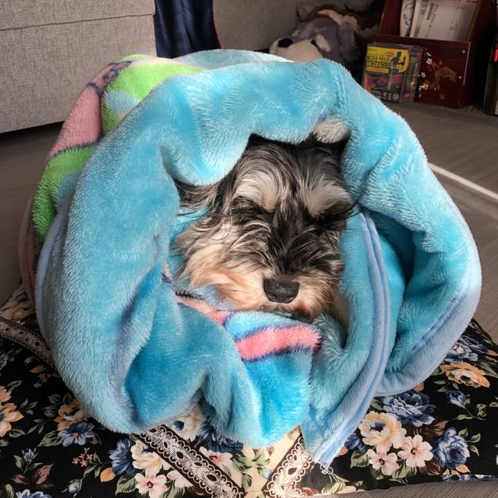 94b6b3b9 c907 48bd ad45 8ed115d04bef 1581417249500