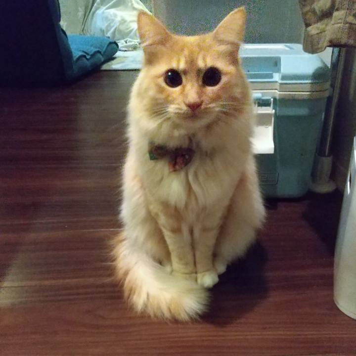 94b6c443 4cea 4acf be01 52c186027f91 1644791215421