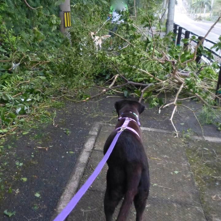 94b6ecf7 492d 4ad1 9cb8 68d6f80f6a5d 1538210604948