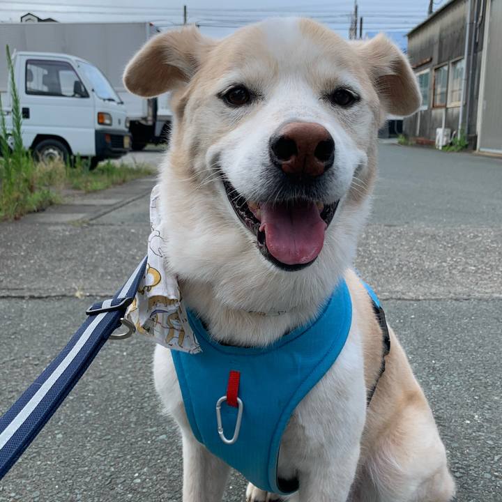 94b6fefb 7834 4f91 81da 07dd054f490f 1659742939361