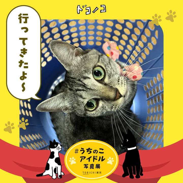 94b72550 36c2 4164 a666 b98d1df0703e 1761114282189