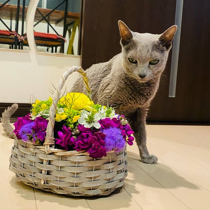 94b75e0f 071f 4f1c bd97 bc4851864c86 1642849823060