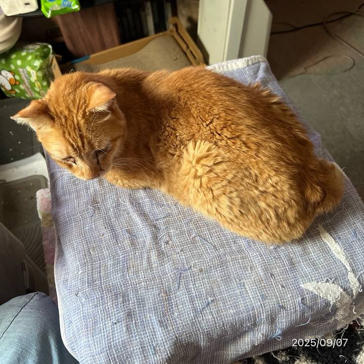 94b7b979 fc36 4e5e 9ab9 add367660e38 1757200009471