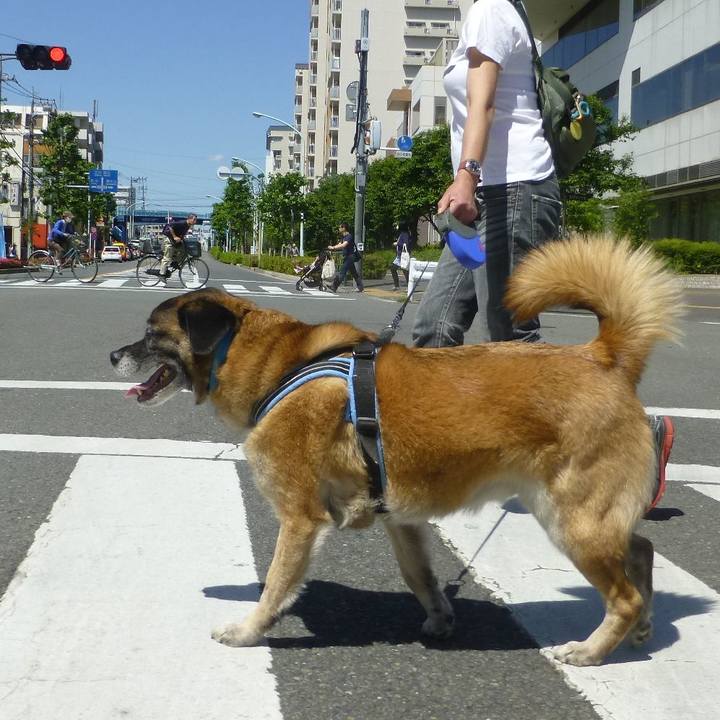 94b7c47a 1e3a 471a 9d05 0e4f0f76fce2 1579949397517