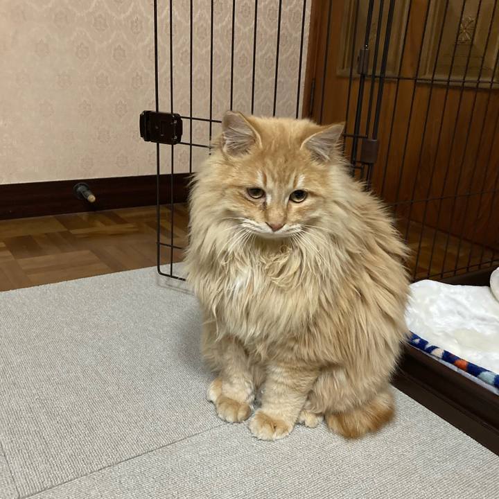 94b7c8aa 144f 4e73 b510 37261ec15236 1771121868667