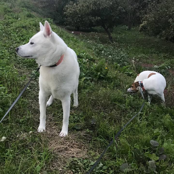 94b7c95a a301 4bcf 8edf 4ac68b3382c1 1509700757448