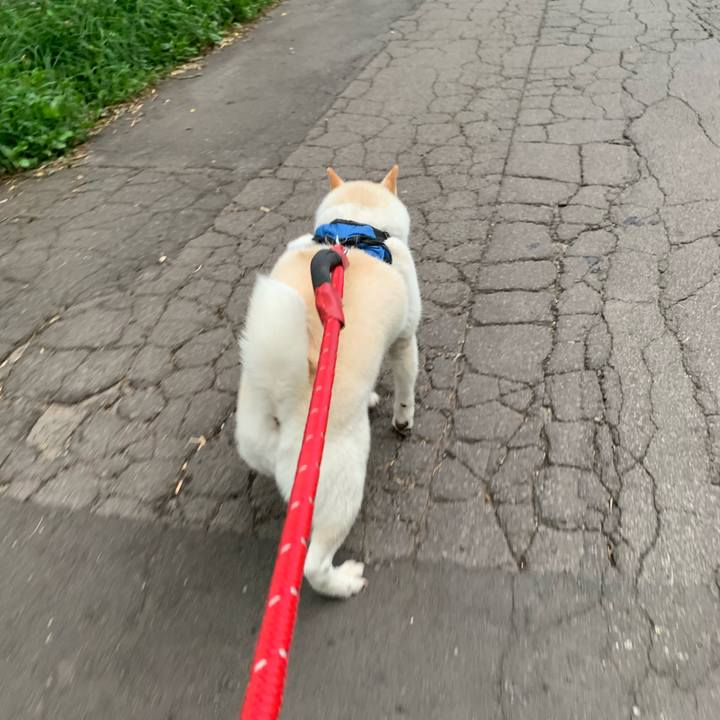 94b7de1c b5df 438c 8f39 5c85f807626d 1660942269770