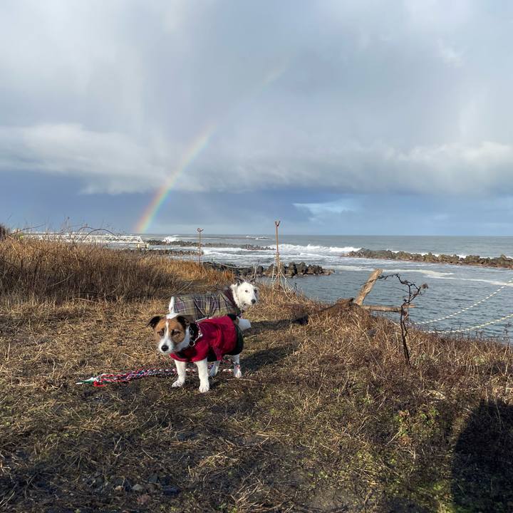 94b826ba 6ca1 4840 9a52 433efcd8e127 1773443631035