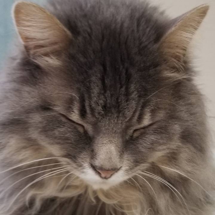 94b8307a 57fd 4fd5 be76 d0b8882c0a0b 1553906613560