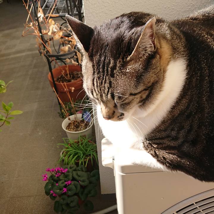 94b858f6 bf66 42a2 8af4 8c368c3be485 1584072673439