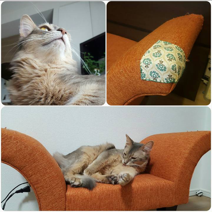 94b8a291 52f2 4617 a2da f4b7104cdbd0 1565738507387