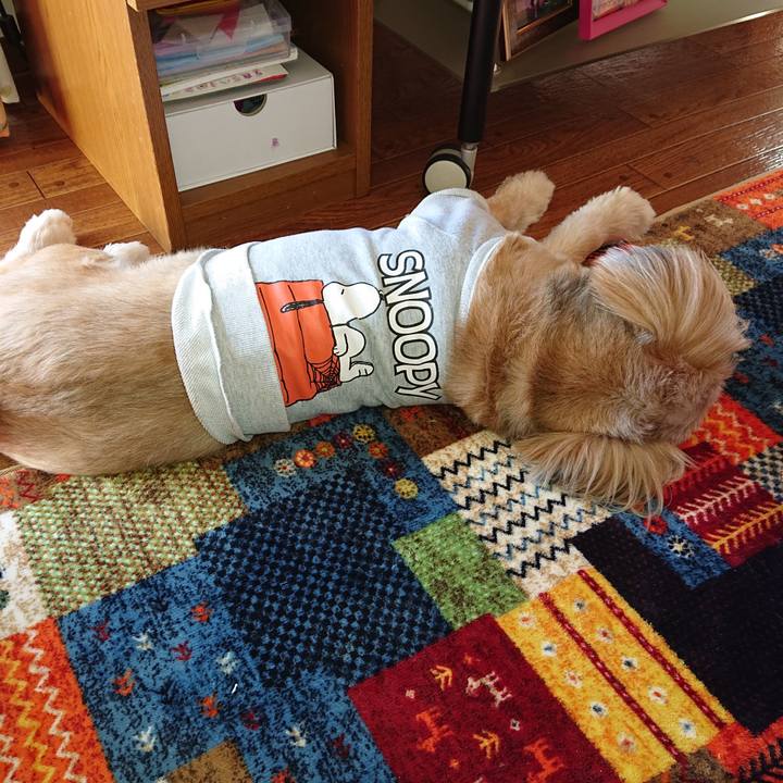 94b8b47c ae75 4cc0 a2ca 26a39d7a44d2 1612839827374