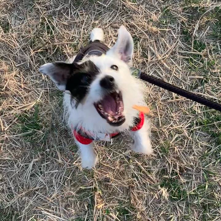 94b8c934 c6b0 49e6 833d c2e699cd821b 1678439810929