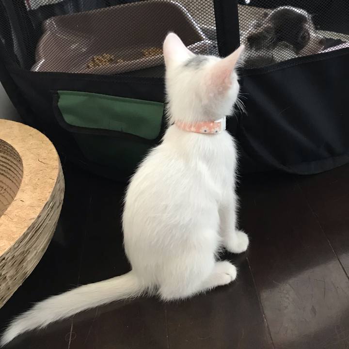 94b8e0ce ae6d 4e06 93dd 8699668ab323 1565176936645