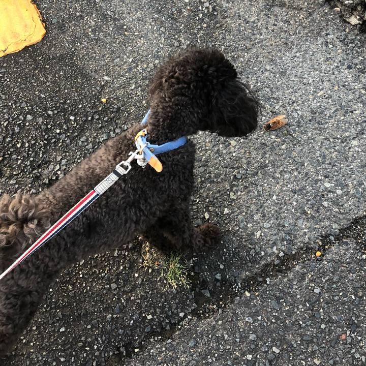 94b91519 0737 417a ba97 9d1d4af41c53 1598829782785