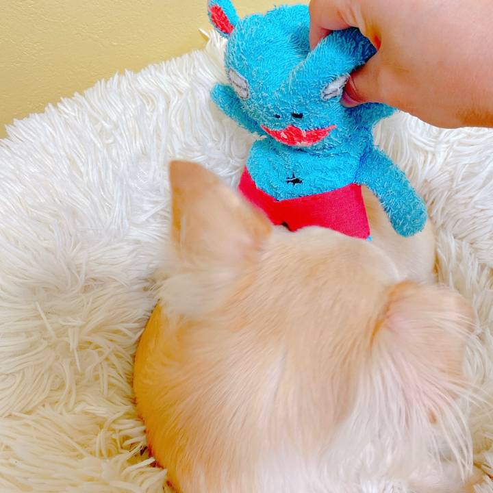 94b93a08 575e 47f7 b5e2 ec830084f9db 1635757480403