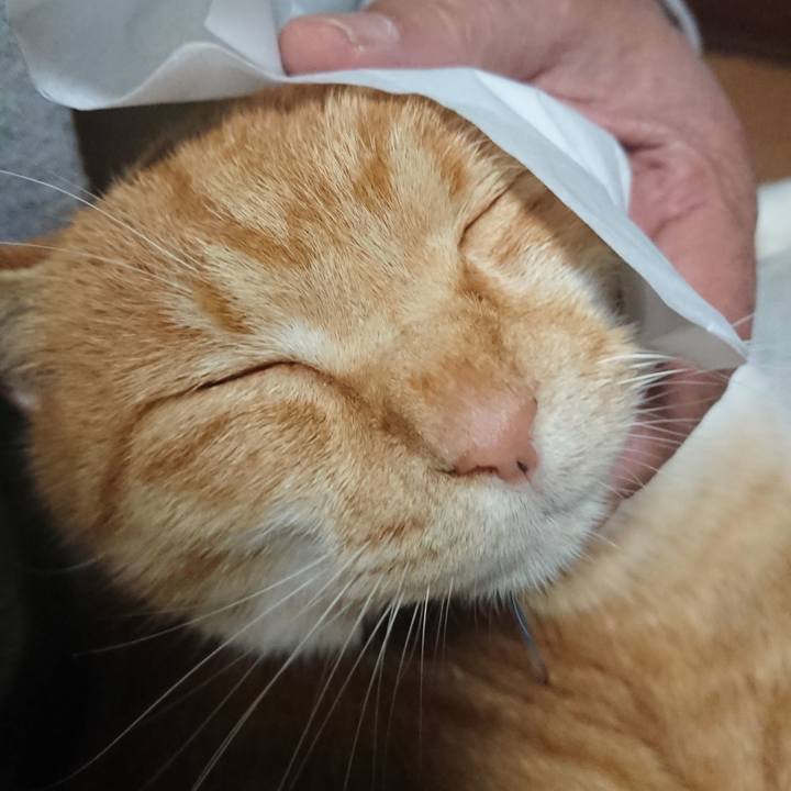 94b97179 1181 420d 90e7 21fdbdf4c32a 1605869945605