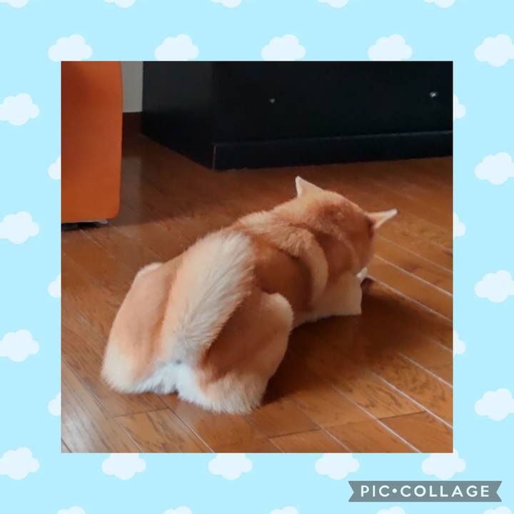 94b9c681 be4e 4c75 aad7 d9c8bc15c723 1738819968503