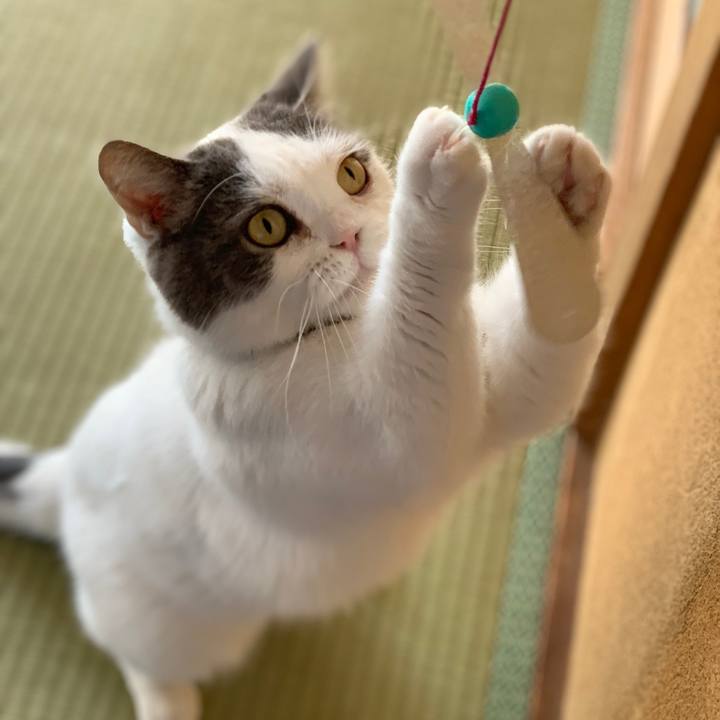 94b9ff0e f21e 41f9 9bab 63ba4b46a3bc 1740826904430