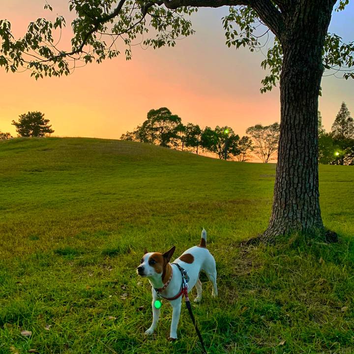 94b9ff43 8bd4 43f4 a456 b880f740cfdf 1572201742166