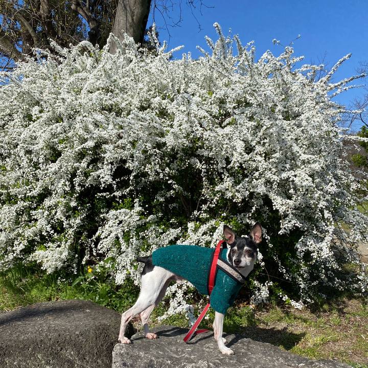 94ba652e 23ce 45d3 9237 29fd446a8157 1584679555166