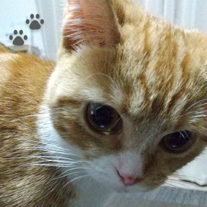 94ba744d 82b3 413c b0e1 796d6716ff94 1632138618550