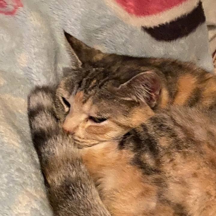 94ba8b25 797f 4abe 8458 63b8d3394117 1588244356194