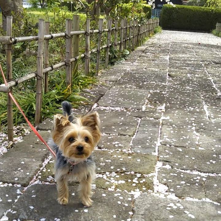 94ba8ccc c8d9 4a2d 9104 cdf50dd4e67d 1617157934433