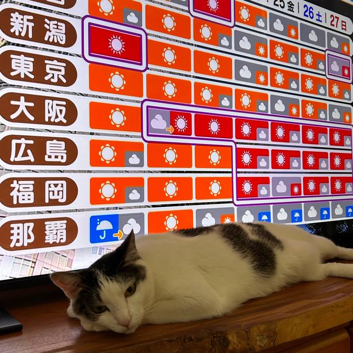 94ba8f3a 9026 4167 adb3 44af139c0cee 1753050815769