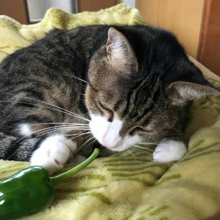 94baa303 b720 4bb7 8244 1e43e3171e52 1604717845889