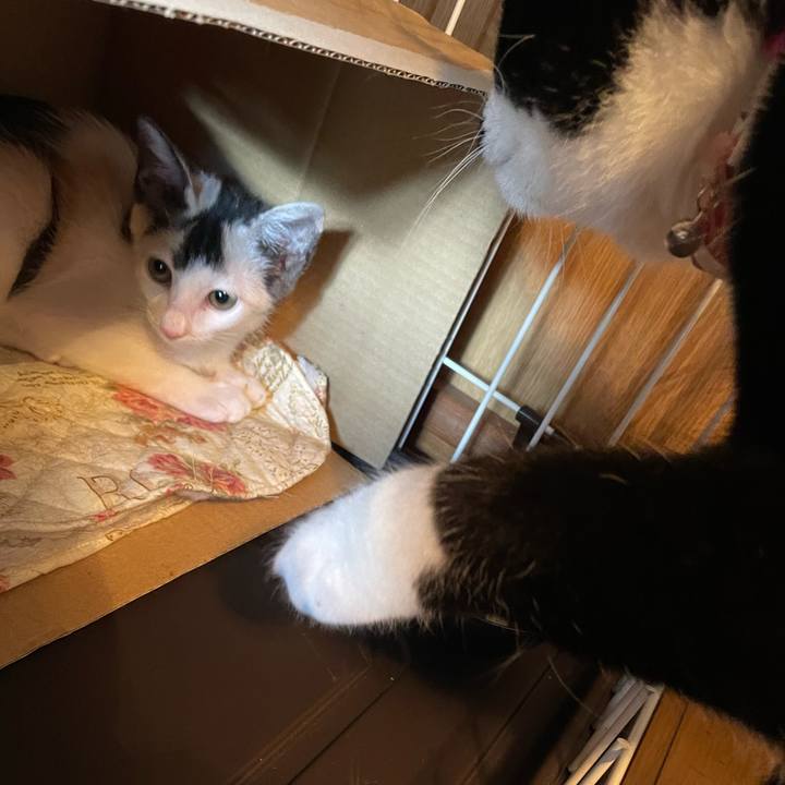 94bab42f 69da 4cd8 abf4 6fa875bdb336 1658042526591