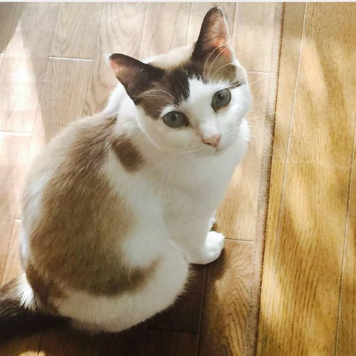 94bae17d 6c8d 469b 9728 b82db71e3e86 1692511523192