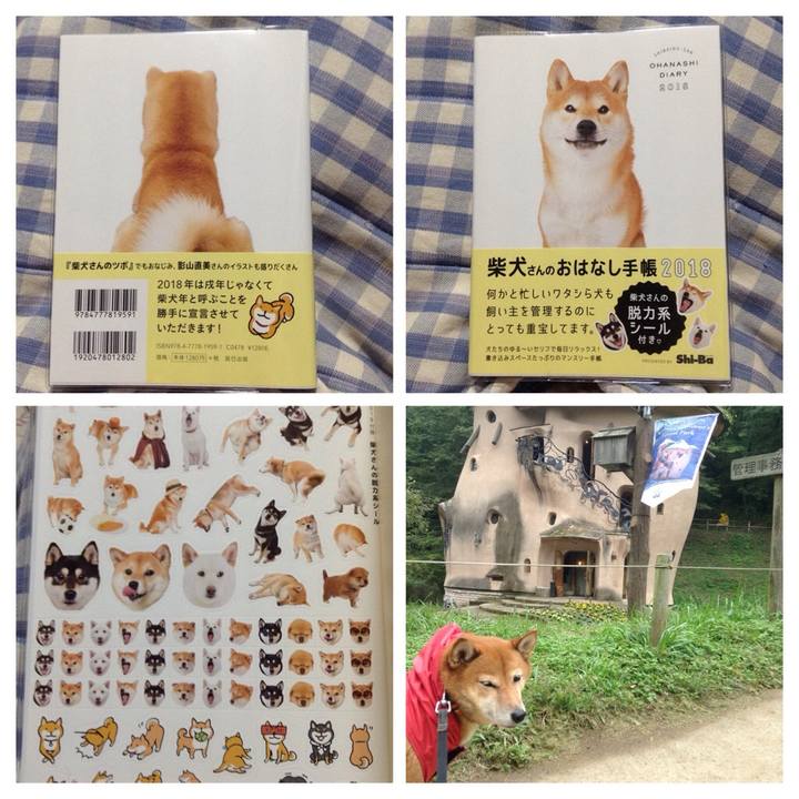 94bae229 6b1d 4034 96b1 3dfc4568b1ce 1509181615351