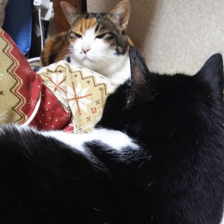 94bafa9e 64b3 4151 a3e7 5495770133b6 1548016887150