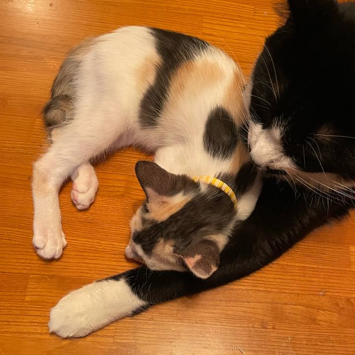 94bafce6 4b91 40c5 a4d5 33705fe8b54d 1659088684439