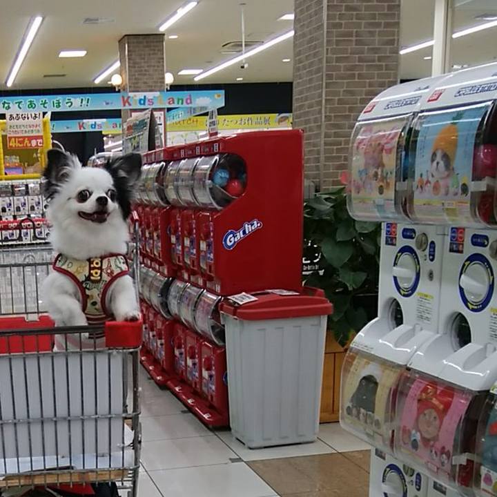 94bb3c23 7eb5 4220 8a2a b48a477f490f 1532158756456