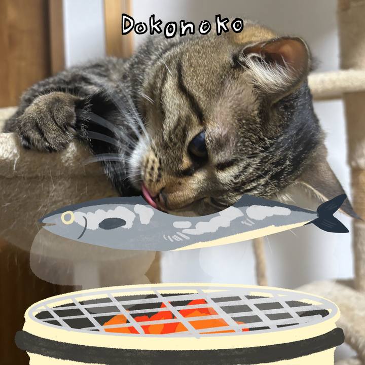 94bb5471 a080 4db4 bd7b 3bcff74e6686 1761444421682