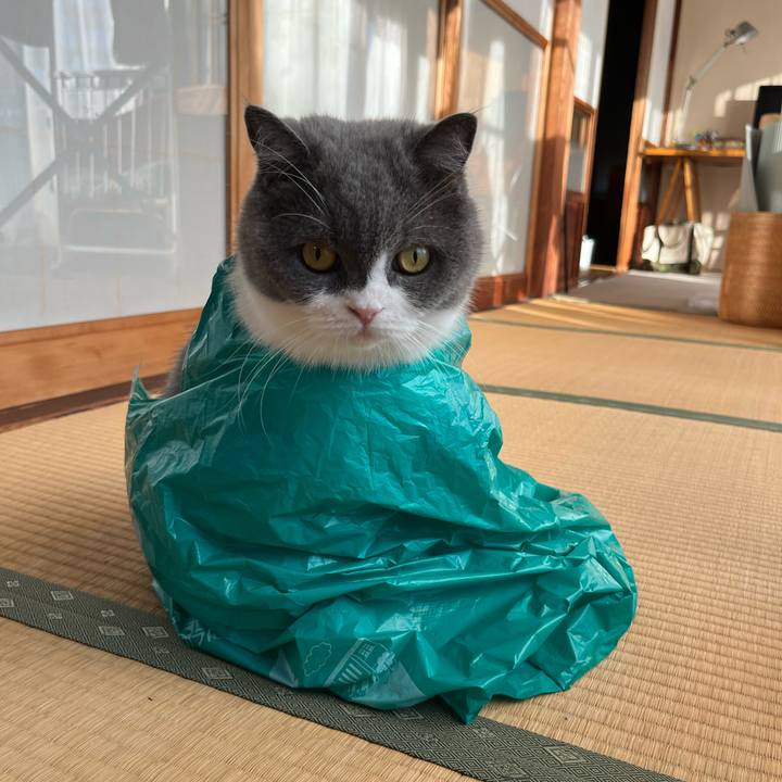 94bb7755 3909 4125 a153 ddc08641be6a 1730623542370