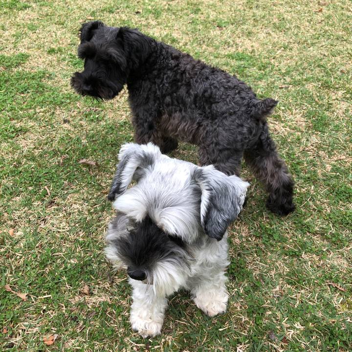 94bbab70 2167 4c8b b48f ef8c293b943f 1572071381867