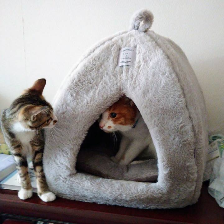 94bbefaf 40b1 458d 9057 70fe86a6f044 1662327934701