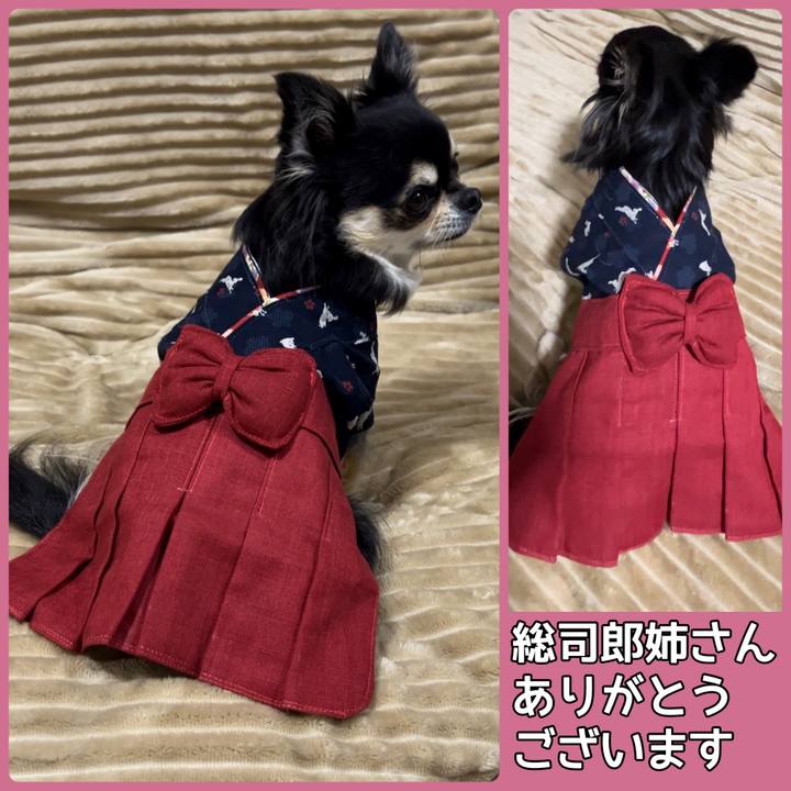 94bc0d85 f471 4574 a6da a996819f81b9 1676892603395