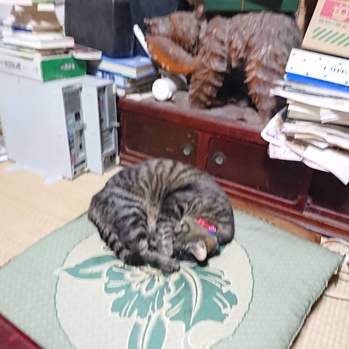 94bc42f6 ad7d 4790 83a1 5682533aa8ff 1655242752024