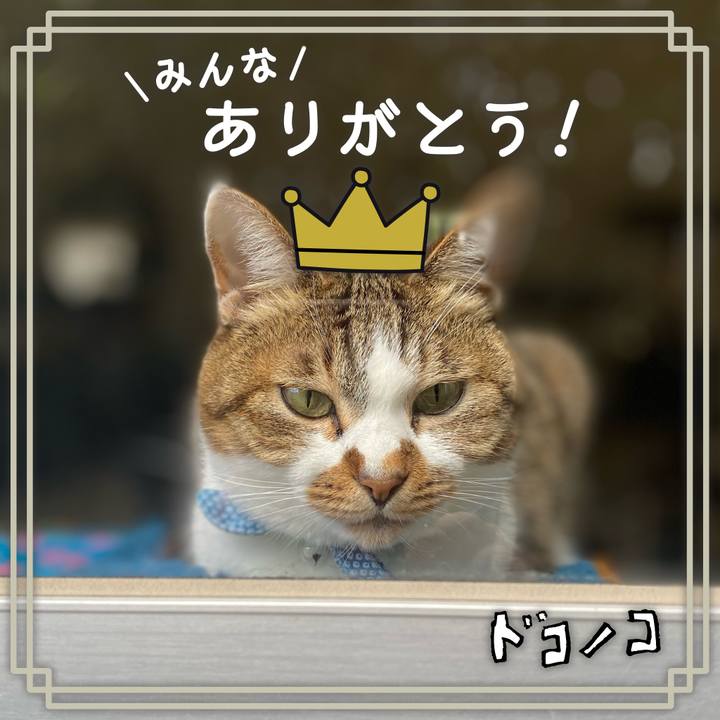 94bc7c26 3f73 486a 8192 be524bc41786 1622964608065